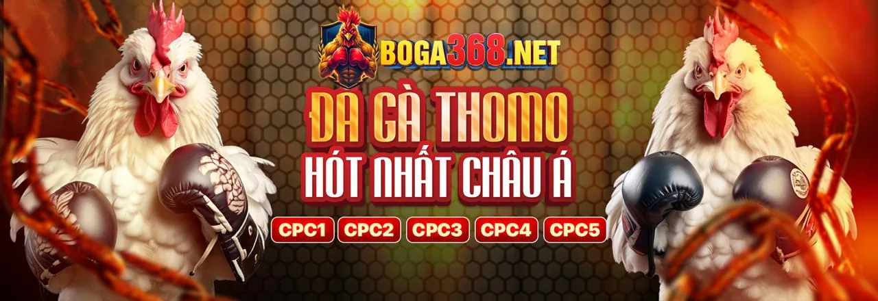 Cập nhật ứng dụng b66 app ios iOS mới nhất